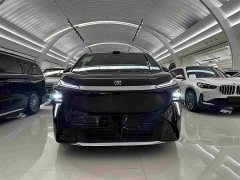 Buick Zhijing Shijia Luxury Edition - фото 2