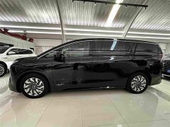 Buick Zhijing Shijia Luxury Edition - фото 3