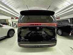 Buick Zhijing Shijia Luxury Edition - фото 4
