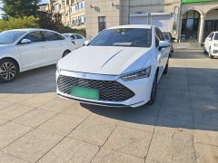 BYD Qin PLUS Champion Edition DM-i 55KM Leading - photo 1
