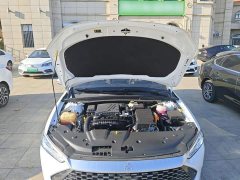 BYD Qin PLUS Champion Edition DM-i 55KM Leading - photo 19