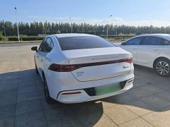 BYD Qin PLUS Champion Edition DM-i 55KM Leading - photo 4