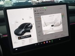Tesla Model Y Rear-Wheel Drive - ფოტო 12