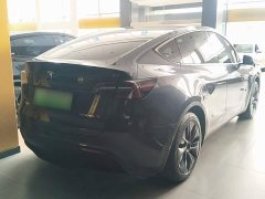 Tesla Model Y Rear-Wheel Drive - ფოტო 6