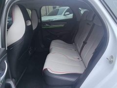 BYD Destroyer 05 Champion Edition DM-i 55KM Distinguished - фото 16