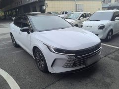 BYD Destroyer 05 Champion Edition DM-i 55KM Distinguished - фото 3