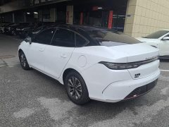 BYD Destroyer 05 Champion Edition DM-i 55KM Distinguished - фото 4