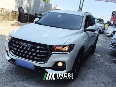 2023 Haval H6 National Trend Edition 1.5T Automatic Urban Version