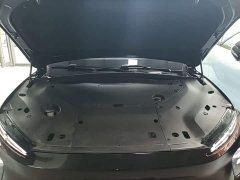 NIO ES8 75kWh Executive - ფოტო 19