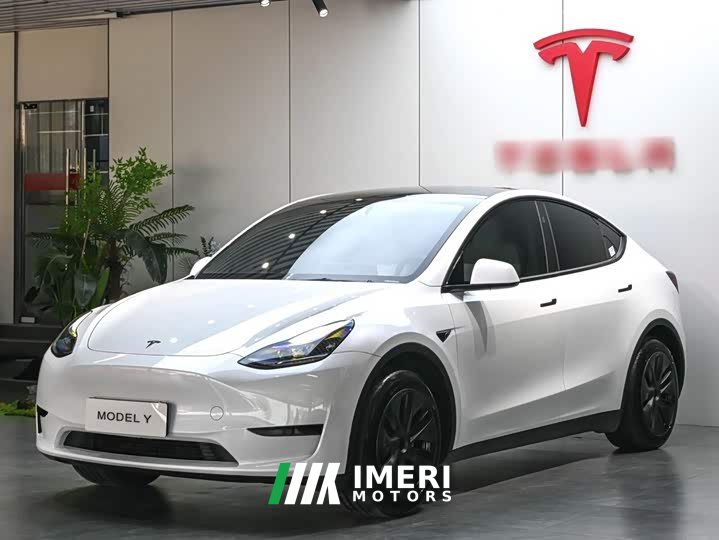 Tesla Model Y Rear-Wheel Drive