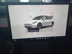 Tesla Model Y Rear-Wheel Drive - ფოტო 11