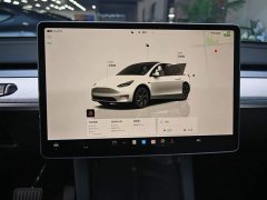 Tesla Model Y Rear-Wheel Drive - ფოტო 12