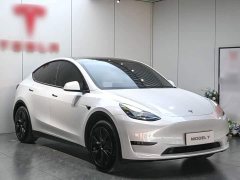 Tesla Model Y Rear-Wheel Drive - ფოტო 3