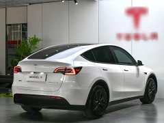 Tesla Model Y Rear-Wheel Drive - ფოტო 6