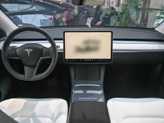 Tesla Model Y Rear-Wheel Drive - ფოტო 9