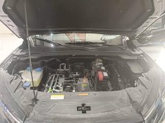 Dongfeng SKY EV01 445km PRO - ფოტო 19