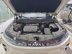 Haval Xiaolong MAX Hi4 165 Ultra Intelligent Driving Edition - photo 19