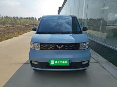Wuling Hongguang MINIEV Zizai Edition LFP Battery - фото 2
