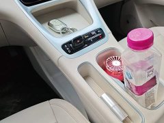 Geely Star Wish 410km Explorer Edition - ფოტო 13