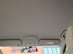 Geely Star Wish 410km Explorer Edition - ფოტო 17