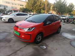 JAC 302km Luxury 30.2kWh - photo 1