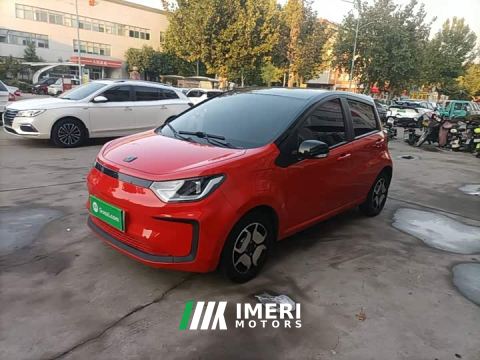 2021 JAC 302km Luxury 30.2kWh