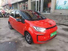 JAC 302km Luxury 30.2kWh - photo 3