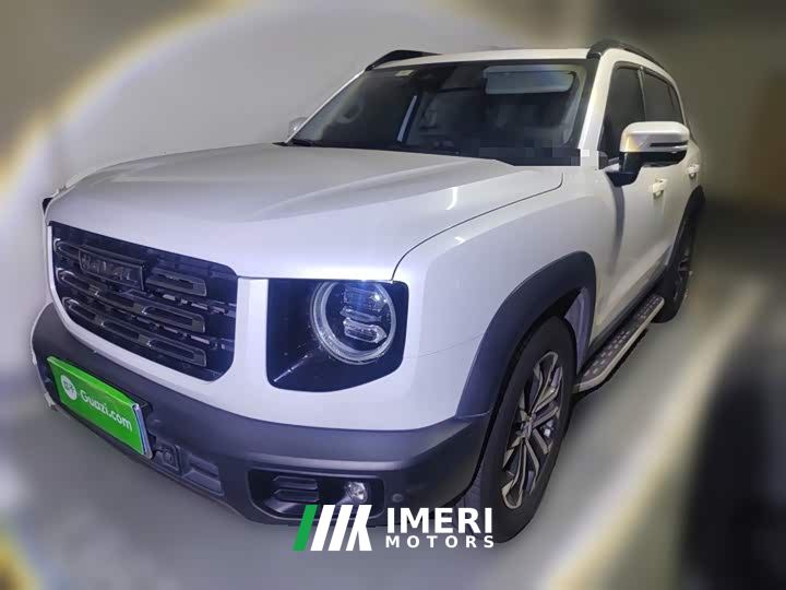 Great Wall Dachshund 1.5T DCT Two-Wheel Drive Border Collie Edition