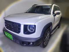 Great Wall Dachshund 1.5T DCT Two-Wheel Drive Border Collie Edition - ფოტო 1