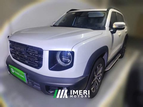2021 Great Wall Dachshund 1.5T DCT Two-Wheel Drive Border Collie Edition - ავტომობილი ჩინეთიდან