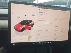 Tesla Model Y Rear-Wheel Drive - ფოტო 11
