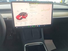 Tesla Model Y Rear-Wheel Drive - ფოტო 12