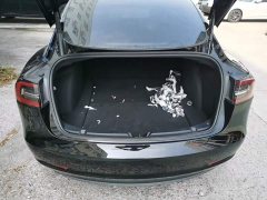 Tesla Model 3 Rear-Wheel Drive - ფოტო 14