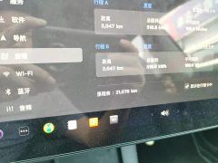 Tesla Model 3 Rear-Wheel Drive - ფოტო 7