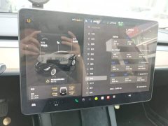 Tesla Model 3 Rear-Wheel Drive - ფოტო 8