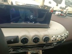 Wuling Binguo 203km Comfort Edition - ფოტო 12