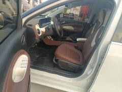 Wuling Binguo 203km Comfort Edition - ფოტო 14
