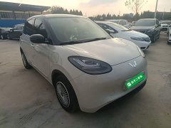 Wuling Binguo 203km Comfort Edition - ფოტო 3