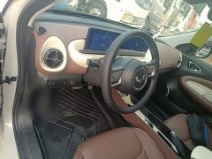 Wuling Binguo 203km Comfort Edition - ფოტო 9