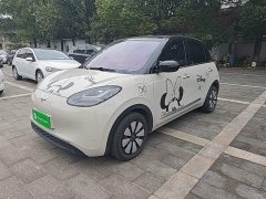 Wuling Binguo 333km Joy Edition - ფოტო 1