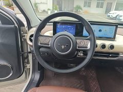 Wuling Binguo 333km Joy Edition - ფოტო 10
