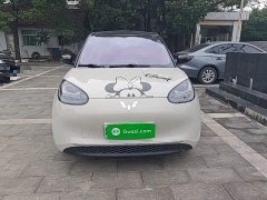 Wuling Binguo 333km Joy Edition - ფოტო 2