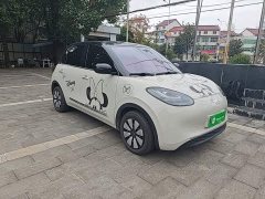 Wuling Binguo 333km Joy Edition - ფოტო 3