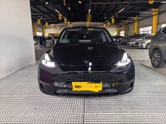 Tesla Model Y Standard Range RWD - photo 2