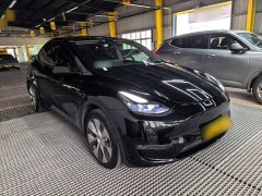 Tesla Model Y Standard Range RWD - photo 3