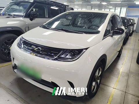 2026 BYD Dolphin 420km Freedom Edition - ავტომობილი ჩინეთიდან