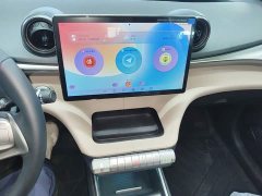 BYD Dolphin 420km Freedom Edition - photo 12