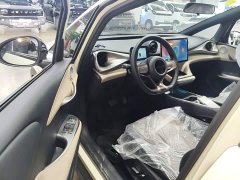 BYD Dolphin 420km Freedom Edition - photo 15