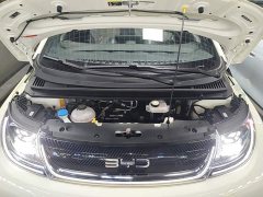 BYD Dolphin 420km Freedom Edition - photo 19