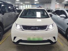 BYD Dolphin 420km Freedom Edition - photo 2